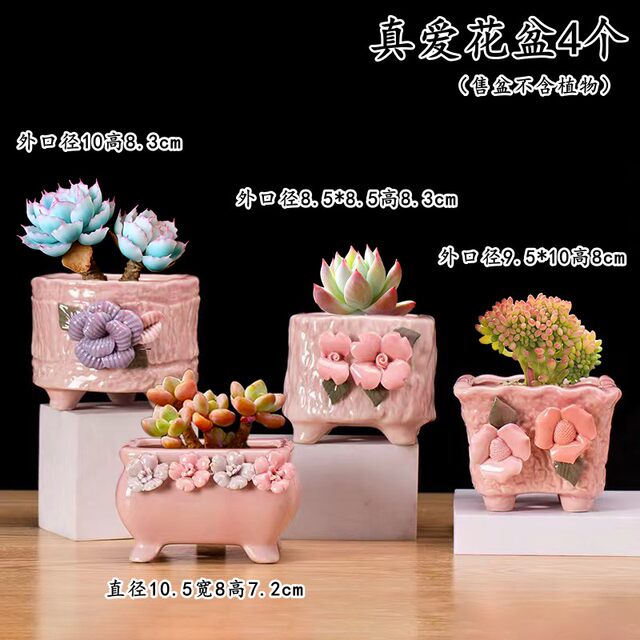Succulent flower pot simple ceramic creative bottom punch