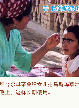 新疆乌斯玛草汁眉毛发际线用正品