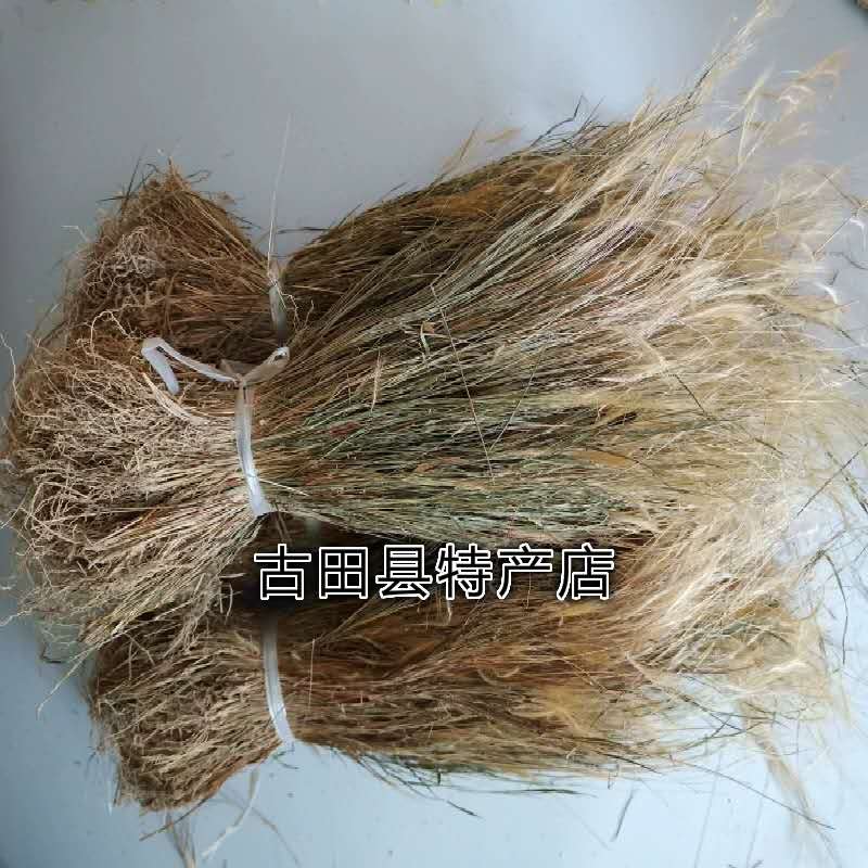 野生青草金丝草 落苏毛 金丝茅 笔子草竹蒿草 猫须尾草黄毛草250g - 图0