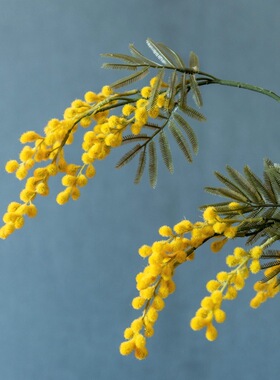 jk慕空间现代黄色假花餐桌仿真花