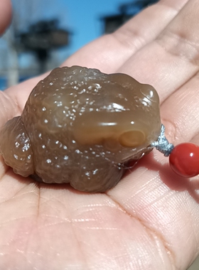 新疆和田玉且末糖玉手把件茶宠