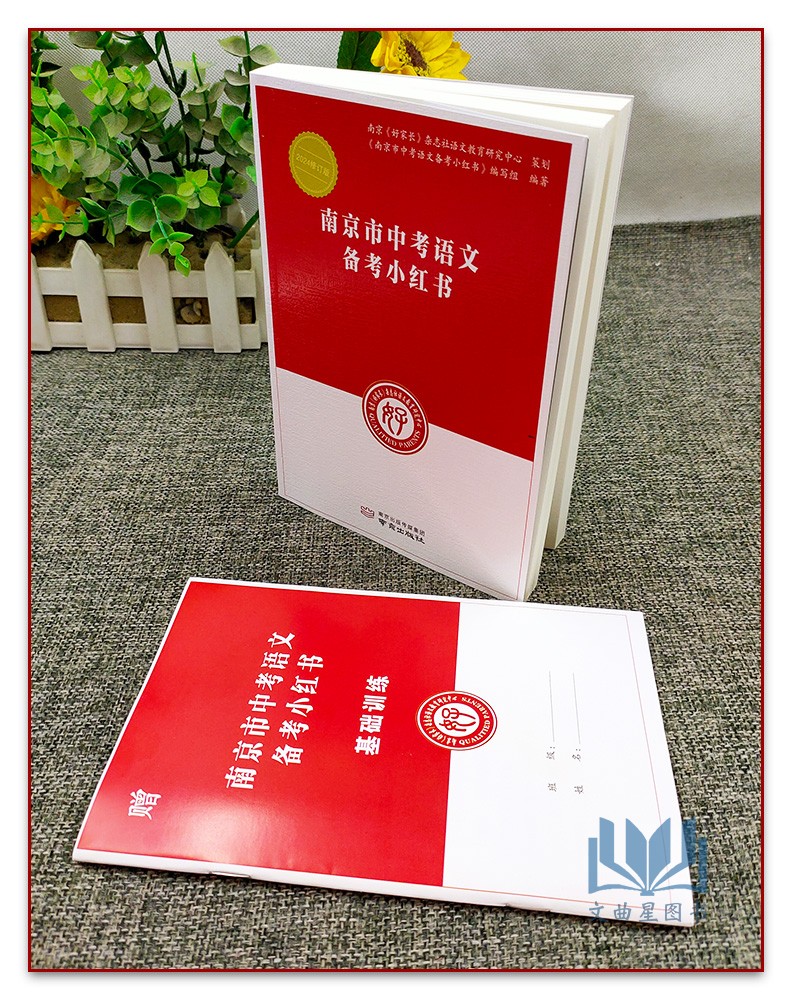 2024版南京市中考语文备考小红书南京出版社南京好家长杂志中考语文复习一本通基础知识教辅初三中考复习资料能力重点难点提高 - 图0