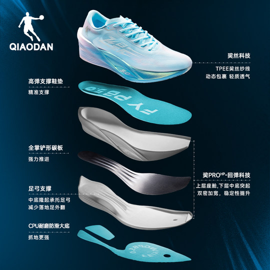 Jordan Feiying PB5.0 Marathon Racing Running Shoes