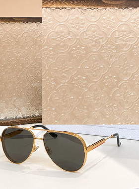 椭圆框飞行员风遮阳墨镜男女时尚