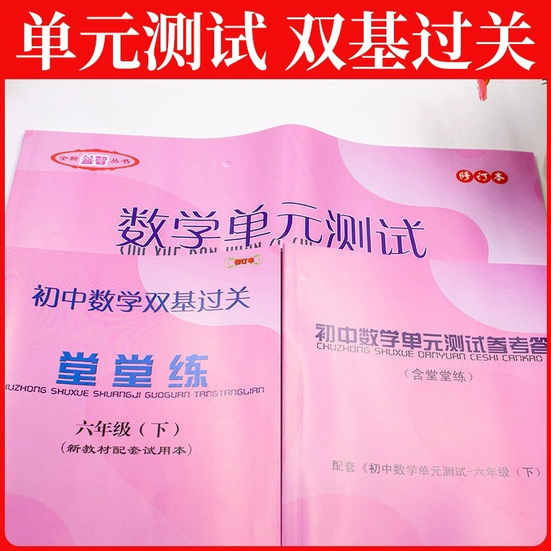 2023-2024年数学堂堂练六下初中数学双基过关堂堂练六年级下册6第二学期单元测试卷光明日报出版社上海沪教版数学单元测试六年级下-图2