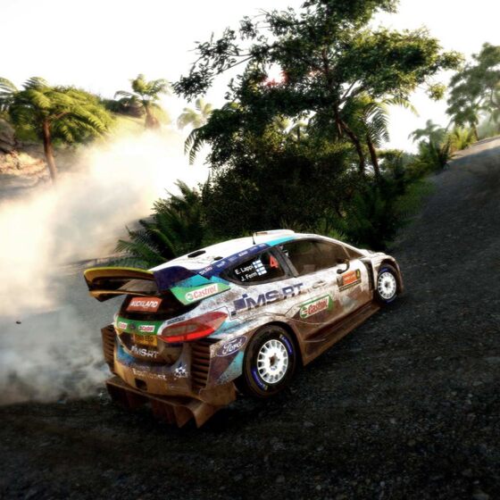 STEAM/WRC9 Deluxe Edition/National Key/Chinese