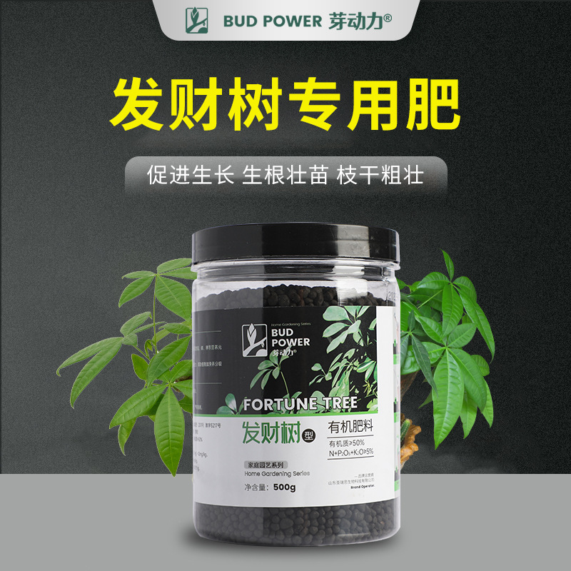 发财树专用肥料缓释长效有机肥招财树幸福树金钱树通用复合肥花卉 - 图2