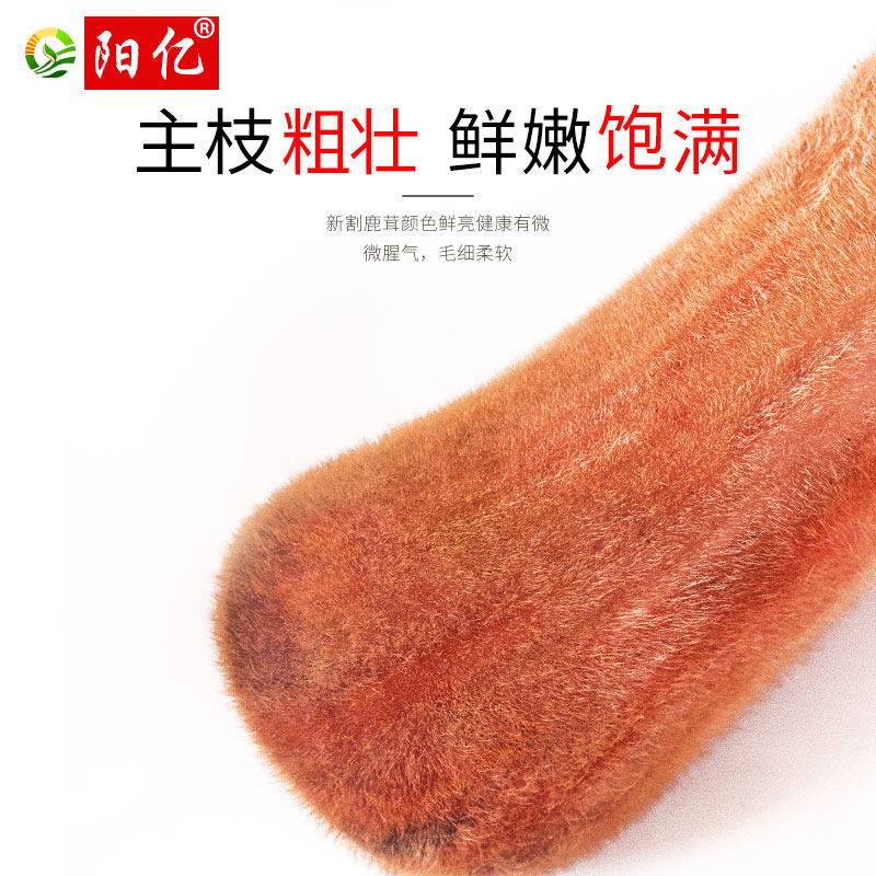 阳亿吉林长白山整枝200克梅花鹿茸 阳亿鹿茸片