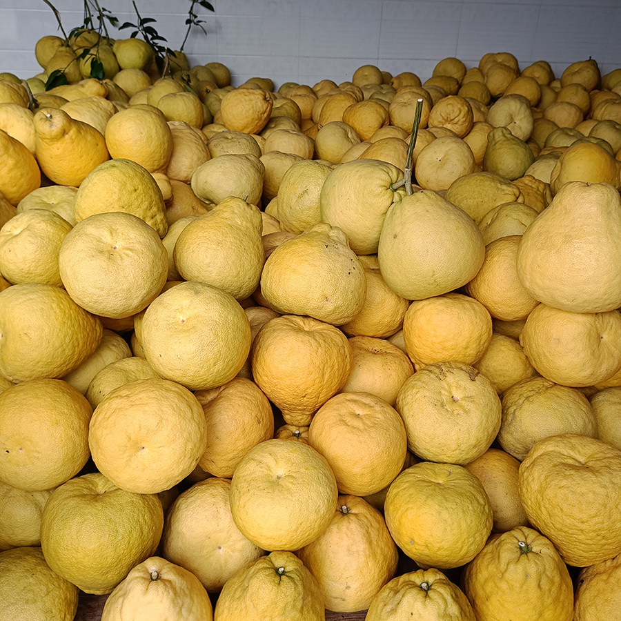 正宗合江真龙柚精选纯甜不酸柚子四川泸州特产地标金奖瓦房村农家,淘宝优惠券,粉丝福利购,淘宝优惠卷