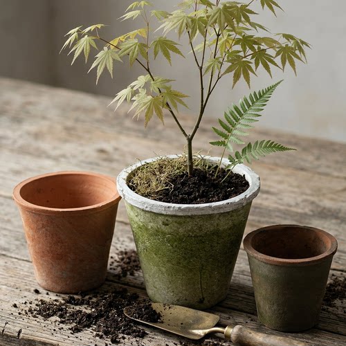 大高筒陶土红陶花盆多肉瓦盆龟背竹陶盆复古透气老式大盆栽三角梅 - 图0