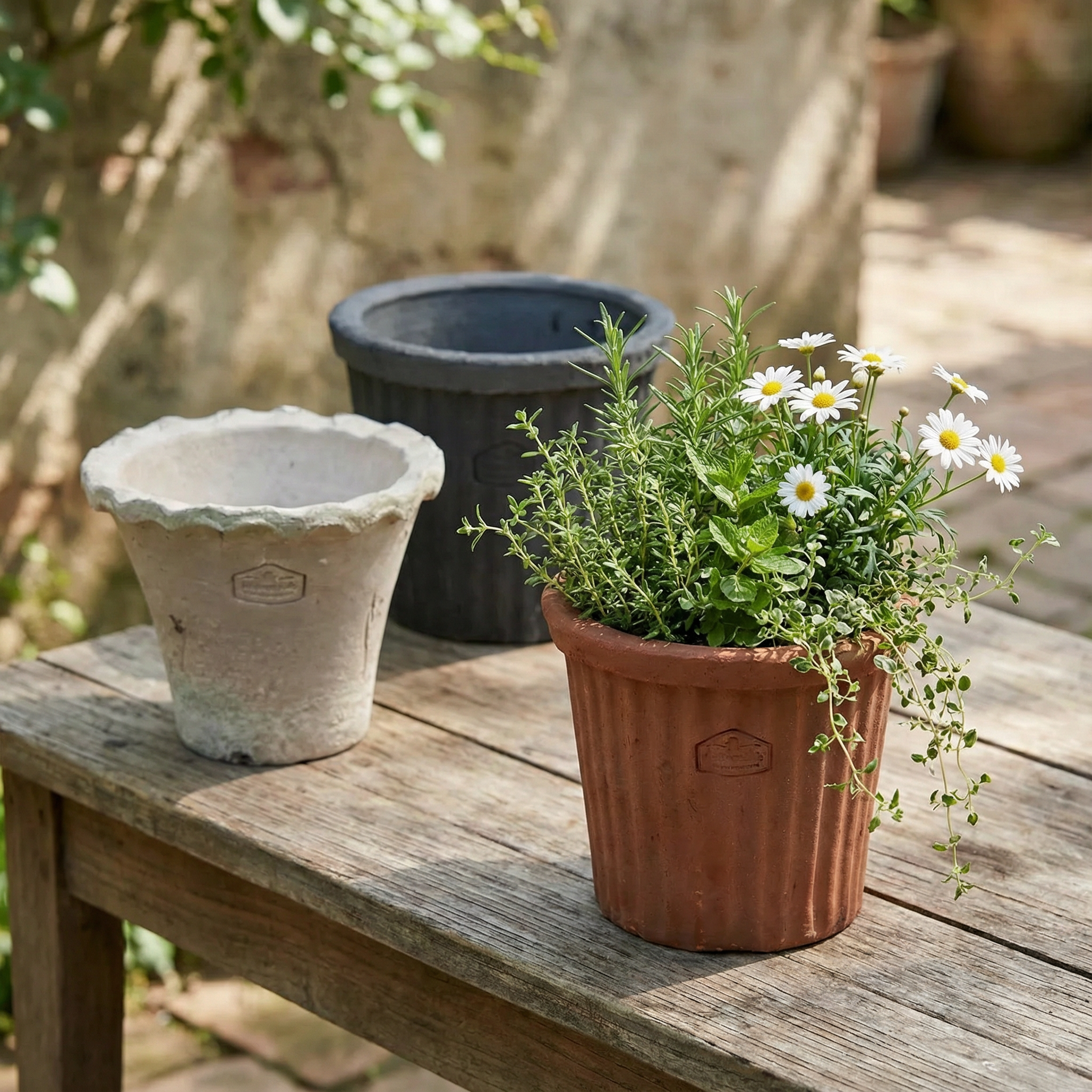条纹红陶兰花陶土花盆多肉粗陶透气陶瓷泥瓦盆老式黑色蝴蝶兰陶盆,淘宝优惠券,粉丝福利购,淘宝优惠卷