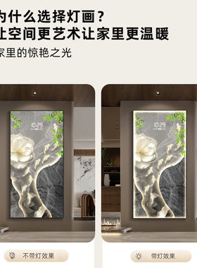 现代轻奢九鱼运转带数显入户玄关