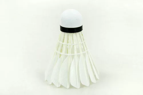 Heiwekan Wecan Badminton Badminton Blogen Goose Mascal Demon Green Vagearitian Ka ka ka kaita club
