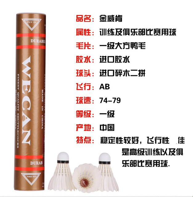 WECAN Badminton Wicken matches with balls