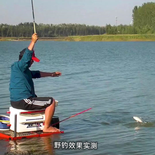 鲫王、复合果奶、加快诱鱼、延长留鱼时长、主攻鲫鱼、野钓休闲 - 图1