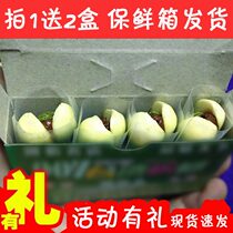 Fresh Taiwan Betel Nut Green (Pat One Sends Two) Chiayi Species Of Raw Fruit Farm Produce Pure Handmade RMB100
