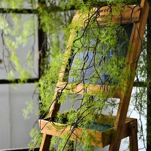 Моделируемые водные растения, черные кости, фальшивые зеленые растения, роттан, кондиционирование труб, пластиковые цветы, виноградные стенки