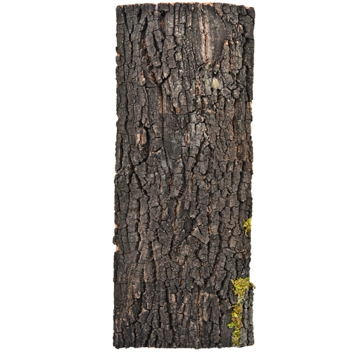 Натуральная настоящая кора пробелка кора шампанского ползание питомца для любимой рыбы ландшафтное украшение