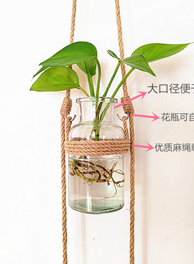 壁挂墙面花器水培植物花瓶简约
