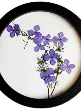 植物装饰画干花干树叶标本画家居装饰画