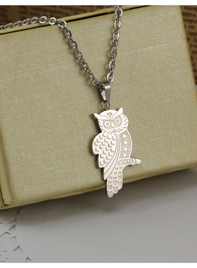 霸气猫头鹰项链男女毛衣链轻奢小众高级感2026新款锁骨链生日礼物