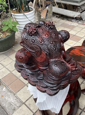 大红酸枝木招财金蟾木雕蟾蜍工艺品家居玄关实木雕刻摆件金蚕蛤蟆