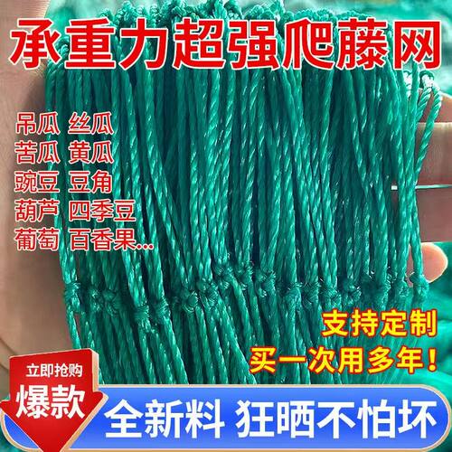 60股加粗植物爬藤网种植网丝瓜苦瓜吊瓜南瓜百香果攀爬植物搭架网 - 图0