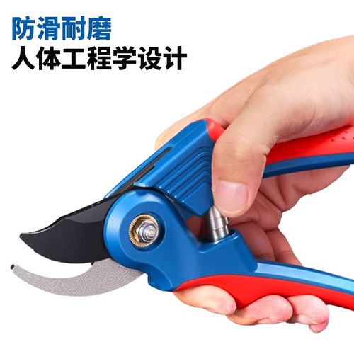 剪枝剪刀果树省力家用花卉修枝强力剪树枝果园园艺粗枝剪刀修枝剪 - 图1