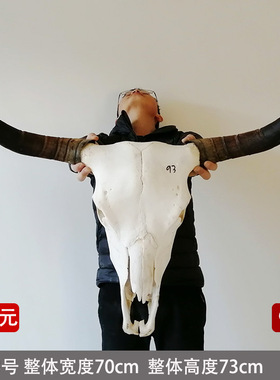 牛头骨挂件墙饰工艺品