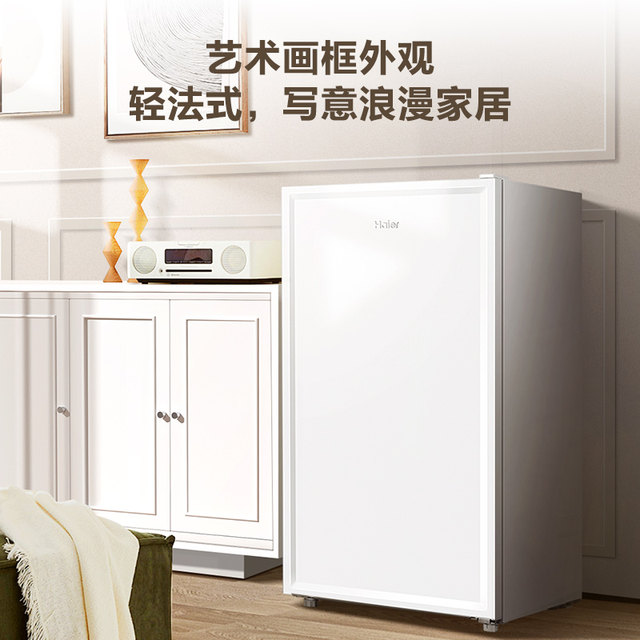 Haier first-class energy efficiency vertical freezer