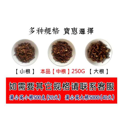 浦公英茶非蒲公英茶长白山整根切断浦公英干货茶麦色咖香耐泡 - 图1