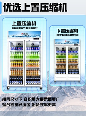 志高双门商用冷藏展示柜