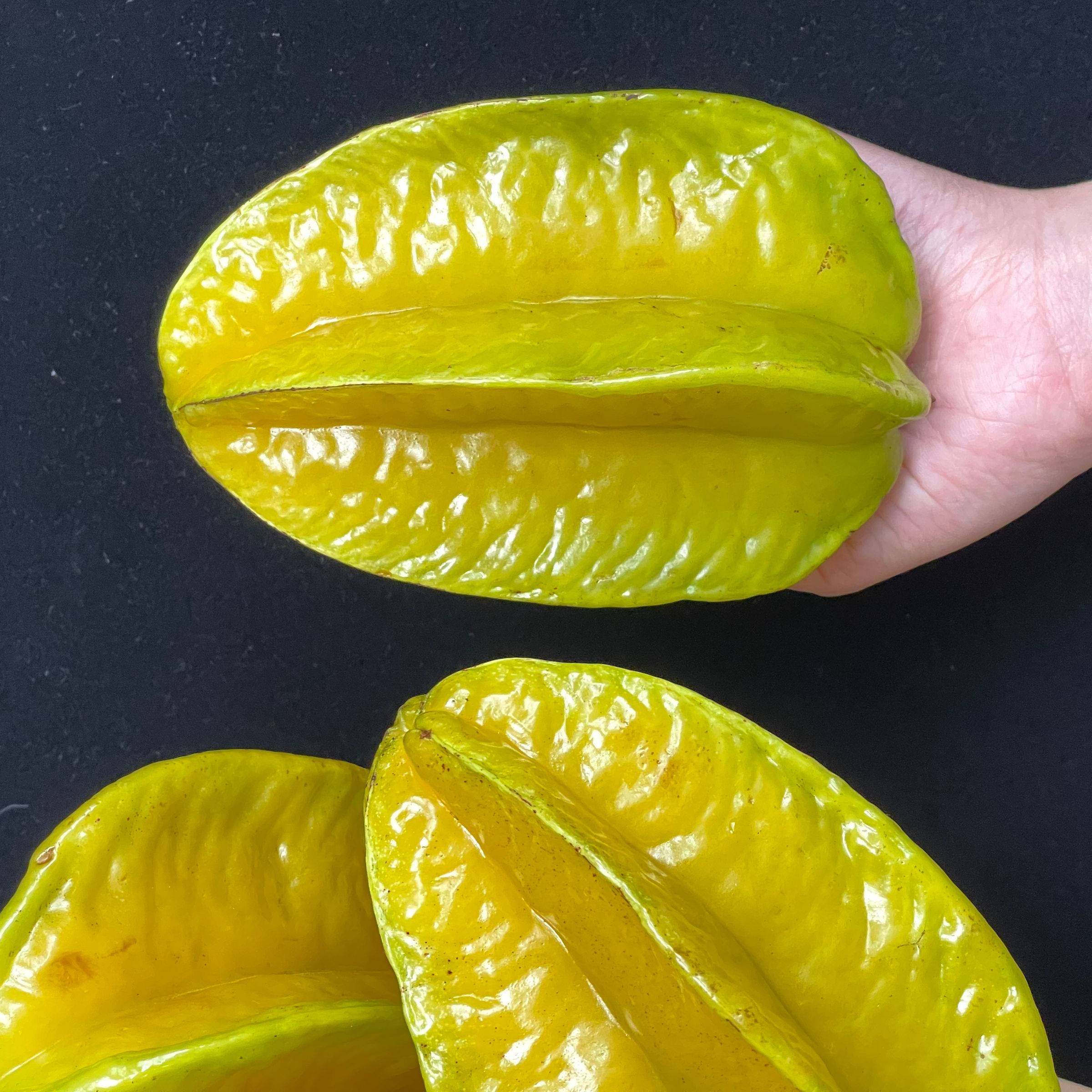 旗舰正品辰颐物语下河树上熟杨桃3斤装现摘现发新鲜水果应季水果,淘宝优惠券,粉丝福利购,淘宝优惠卷