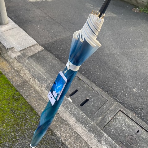 日本恋与深空海洋系列海豚水母雨伞直把伞小清新半透明磨砂伞-图0