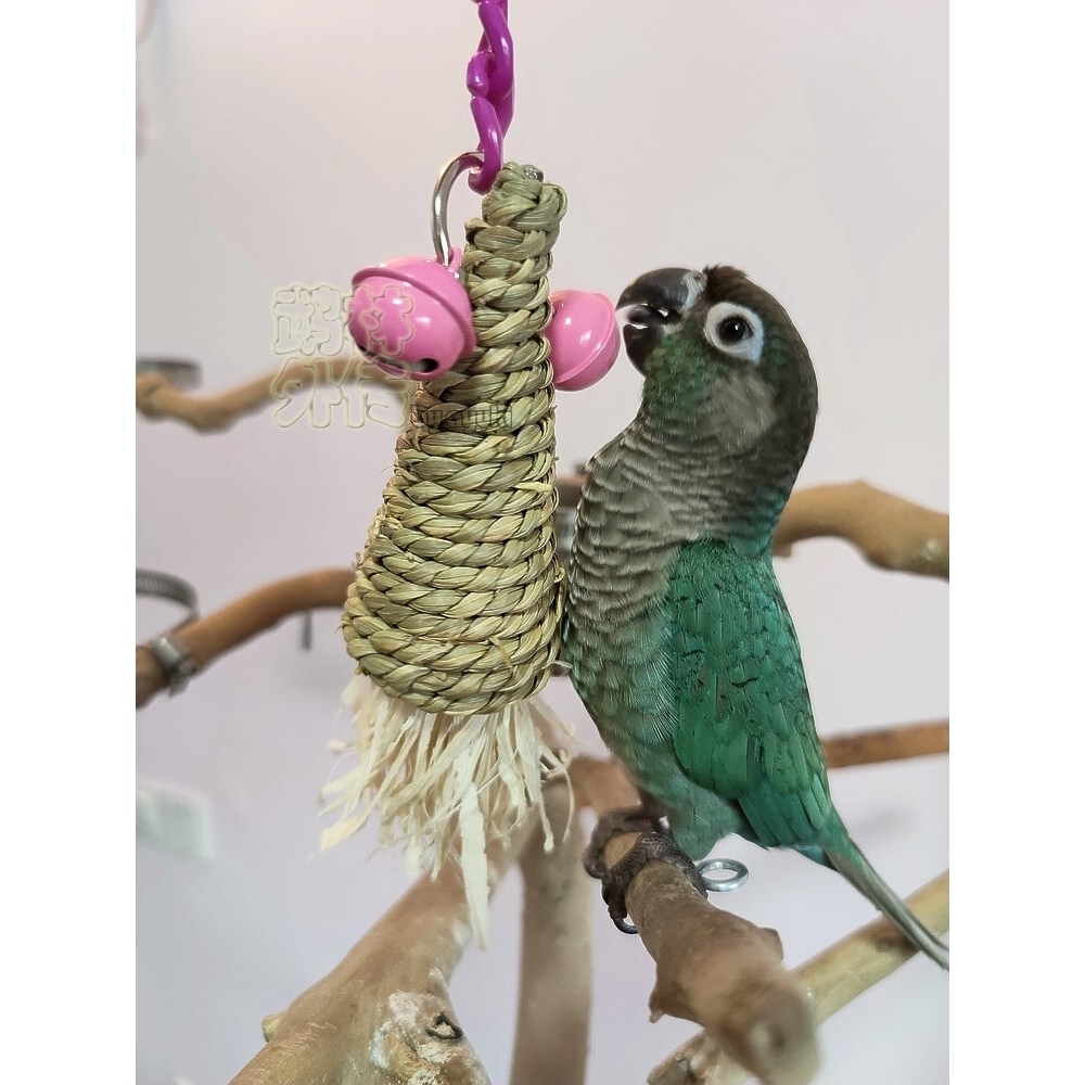 店主推荐可爱草编胡萝卜玉米铃铛玄凤牡丹小太鹦鹉手抓啃咬玩具,淘宝优惠券,粉丝福利购,淘宝优惠卷