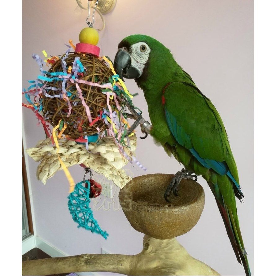 中小型鹦鹉啃咬破坏类玩具缤纷大章鱼彩球玄凤牡丹鹦鹉磨嘴鸟用品,淘宝优惠券,粉丝福利购,淘宝优惠卷
