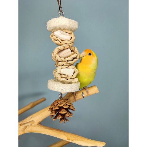 鹦鹉啃咬玩具补钙墨鱼骨啃咬串玉米皮丝瓜烙铃铛牡丹鹦鹉玄凤用品 - 图0