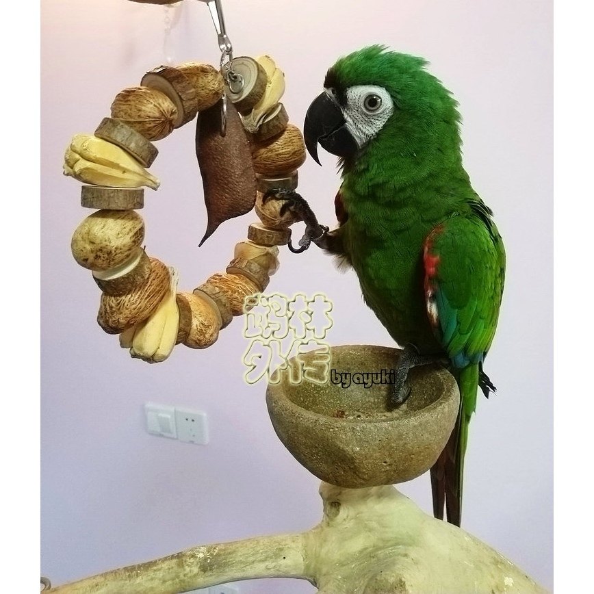 鹉林外传鹦鹉啃咬磨嘴玩具原木果串花环健康安全果子鹦鹉鸟用品,淘宝优惠券,粉丝福利购,淘宝优惠卷