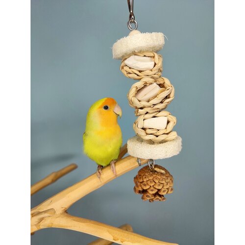 鹦鹉啃咬玩具补钙墨鱼骨啃咬串玉米皮丝瓜烙铃铛牡丹鹦鹉玄凤用品 - 图2