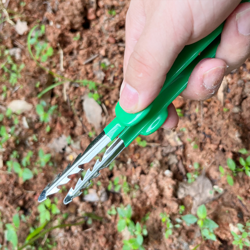 园艺工具镊子取物夹子拾物拔草拔苗种花家用夹种子不锈钢农用工具