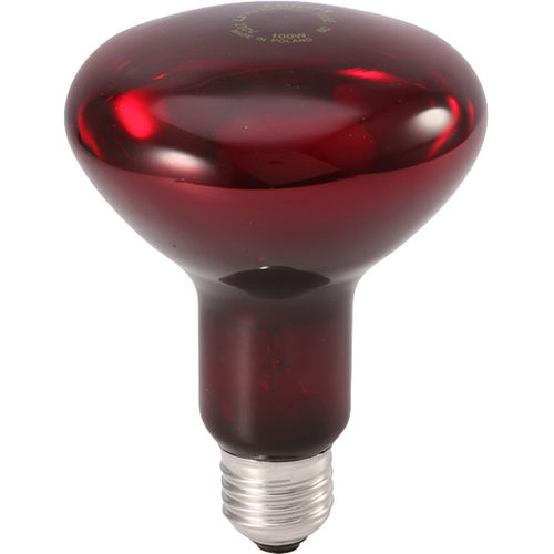 PHILIPS飞利浦红外理疗美容保温灯泡Infrared R95E 230V 100W E27 - 图0