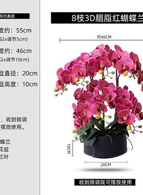 特大手感蝴蝶兰仿真花