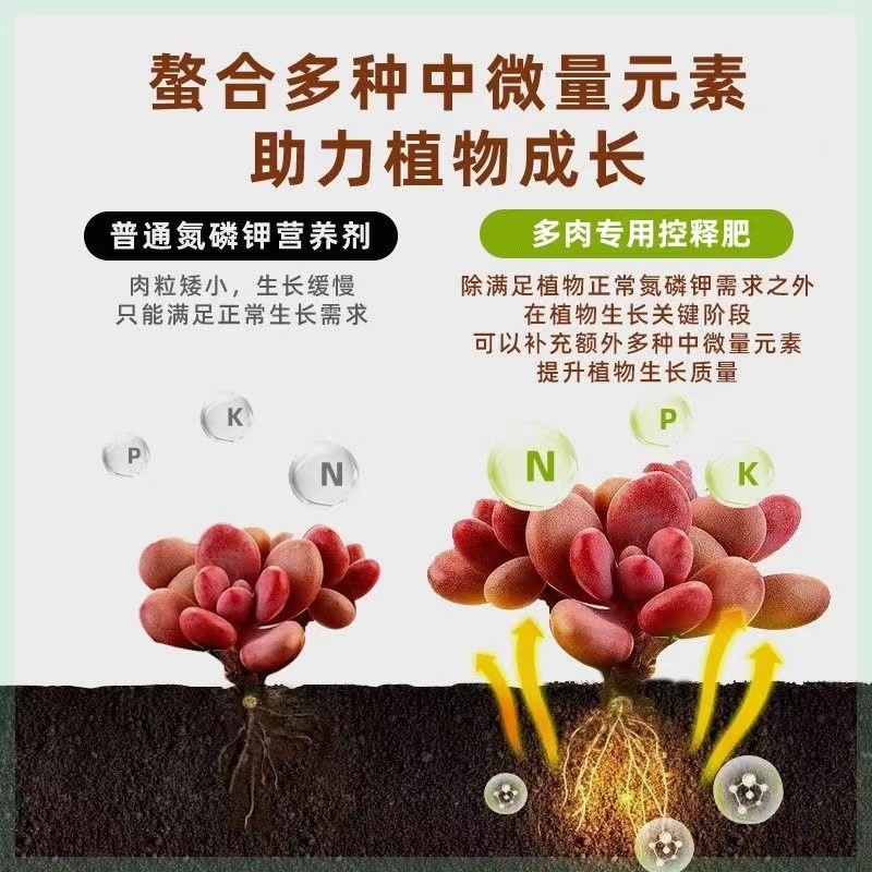 花草多肉专用控缓释肥家用盆栽花卉植物通用型氮磷钾营养肥料博士 - 图1