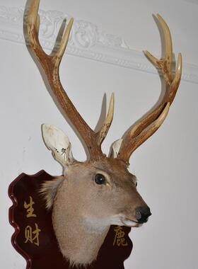 酒吧挂件仿真鹿角墙饰样板间酒吧