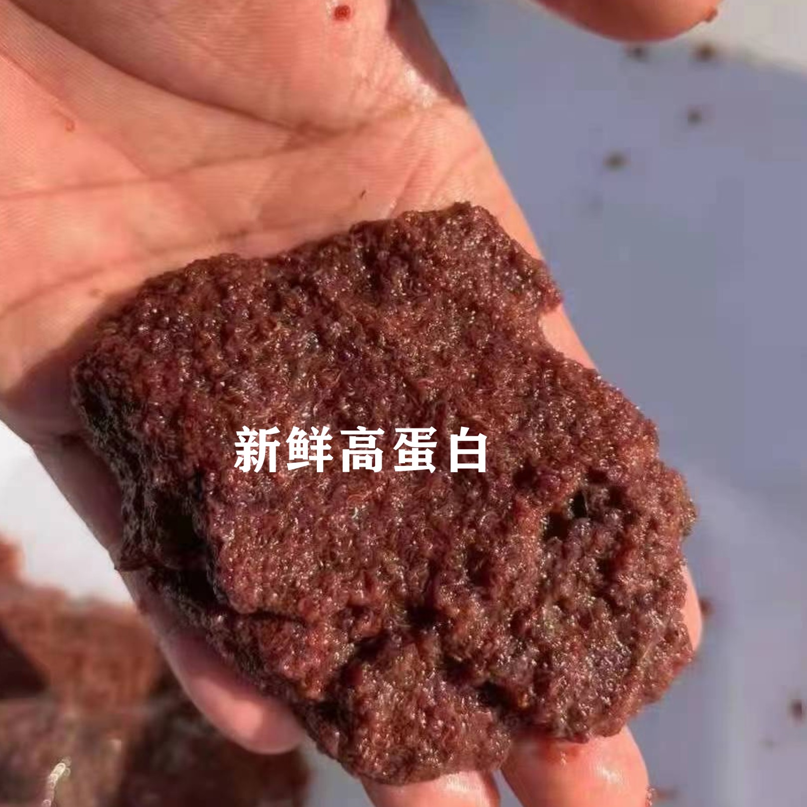 鱼饲料红线虫鲜活线虫活饵鱼食水蚯蚓孔雀观赏鱼六角恐龙生物饵料 - 图2