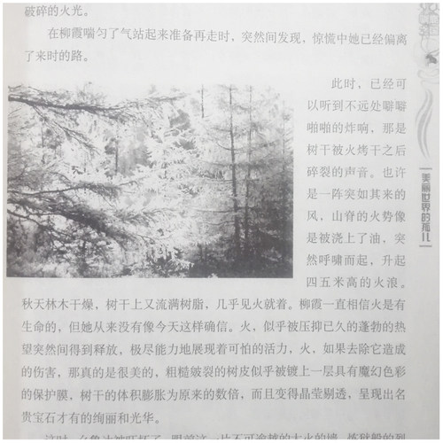 现货正版 天鹅牧场 鬼狗 驯鹿之国 自然之子黒鹤经典动物小说系列儿童文学金牌作家书系格日勒其木格 黑鹤 正版 - 图2