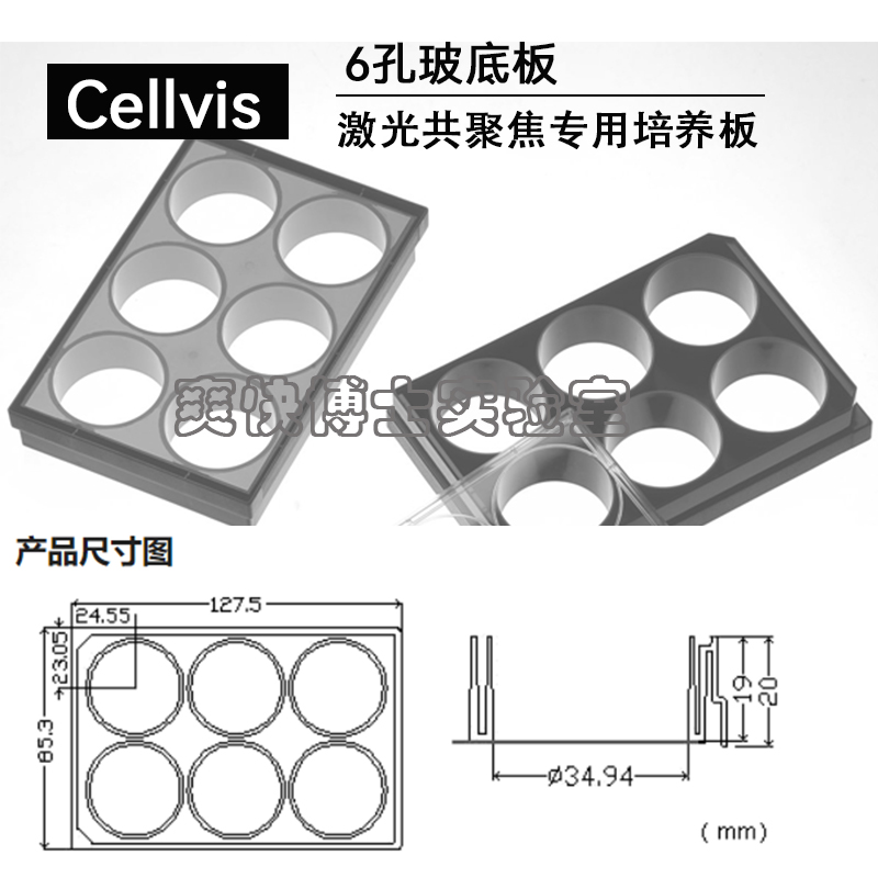 Cellvis激光共聚焦专用培养板6孔玻底板P06-1.5H-N玻璃底皿 - 图2