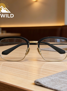 DAYWILD纯钛眼镜框近视眼镜