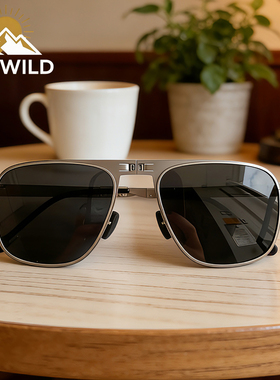 DAYWILD折叠太阳眼镜可配度数