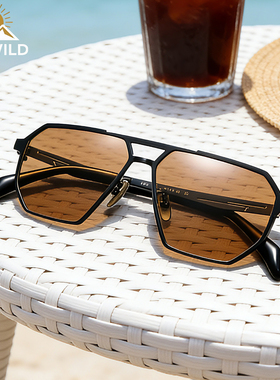 纯钛高级感多边形太阳镜男女同款